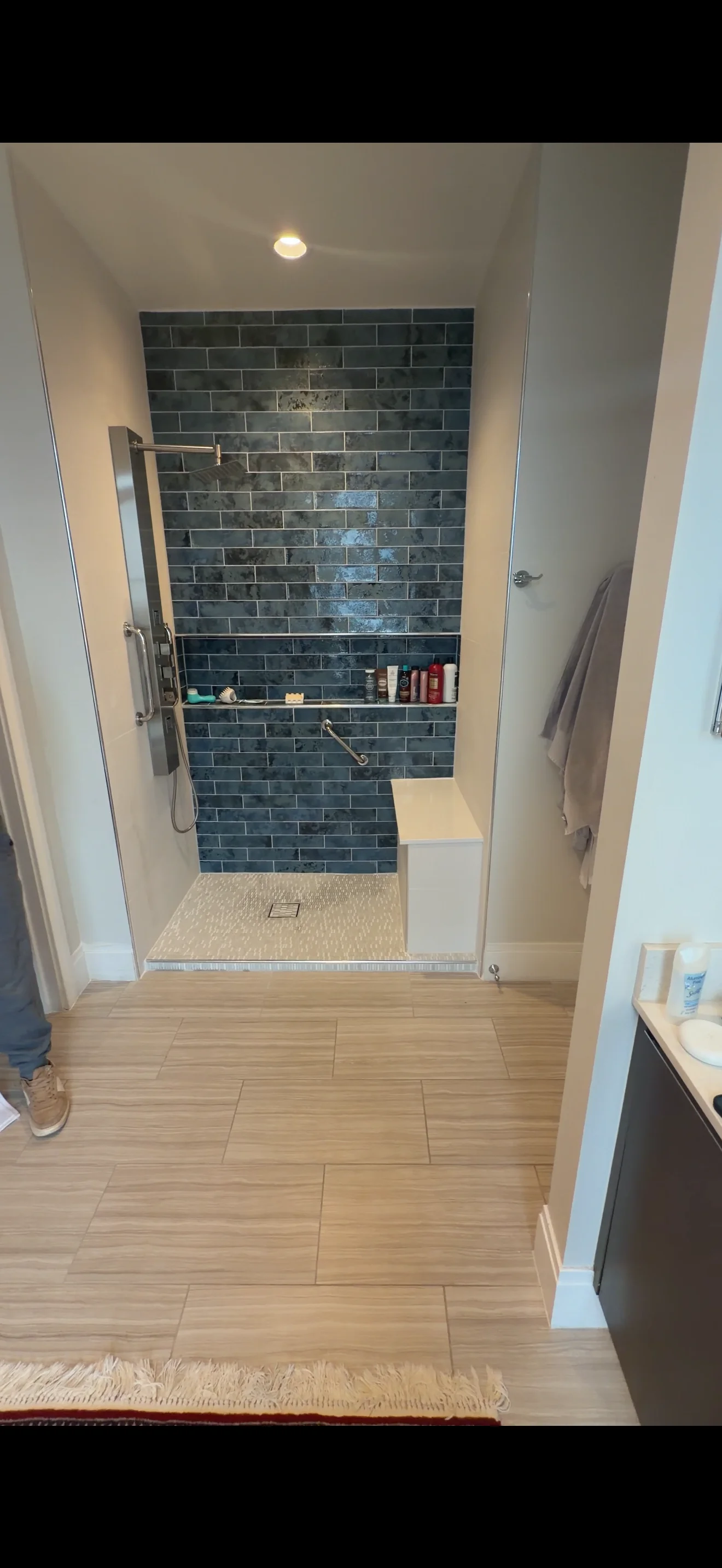Frameless glass shower with dark subway tile wall and built-in shelving in modern bathroom